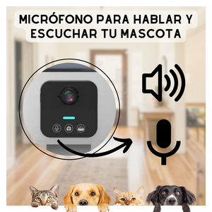 Dispensador Alimento mascota con cámara